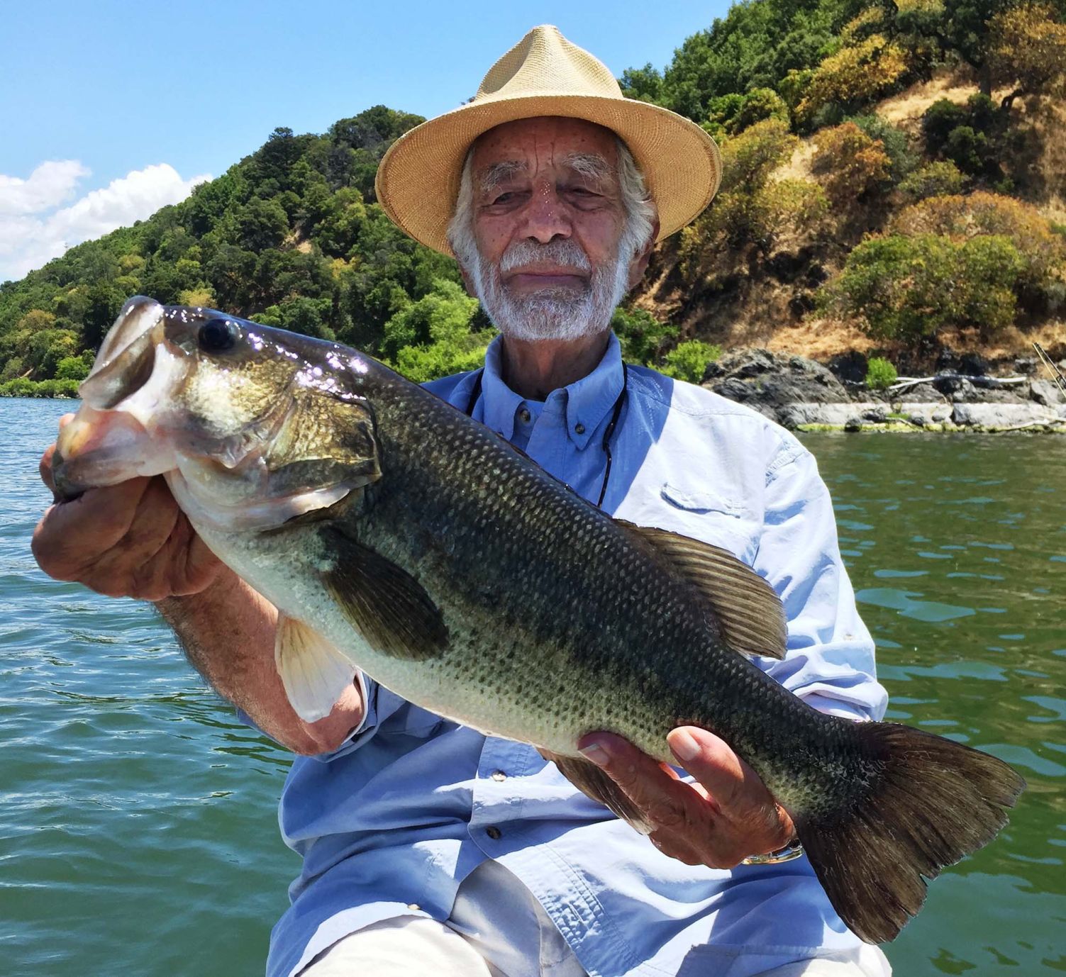 Bill Ryan